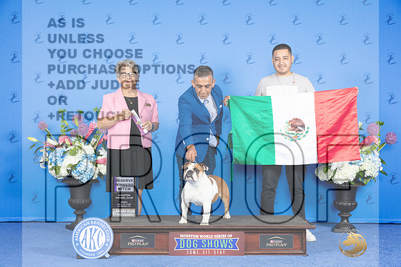 Bulldog #28 FRI RWB Judge Sandra Lex_JP_0188e_Houston_2024-HR3