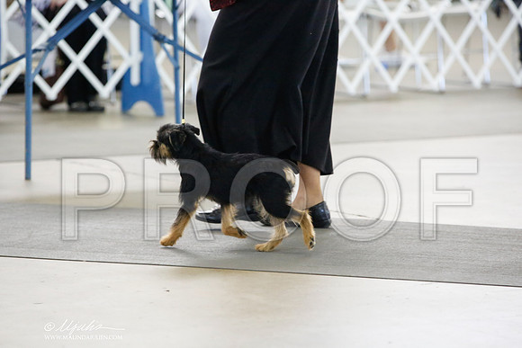 _CK_1472-DallasJul2014-HR3