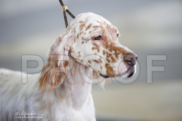 _JJ_6490-DallasJul2014-HR3