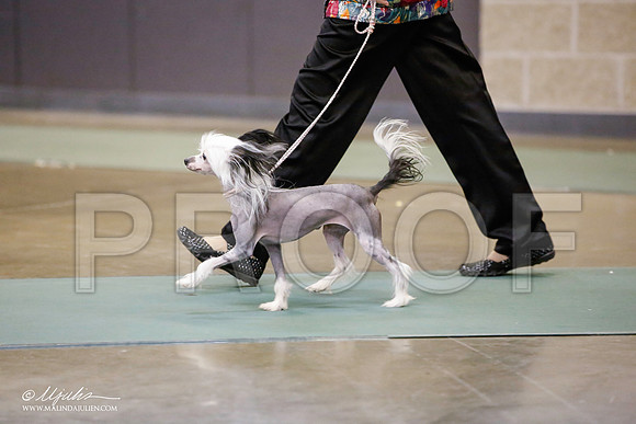 _JN_5436-BeltonJan2015-HR3