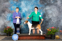 Harrier #5 Sun G4 Judge Christie Martinez