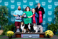 Miniature American Shepherds #129 136 152
