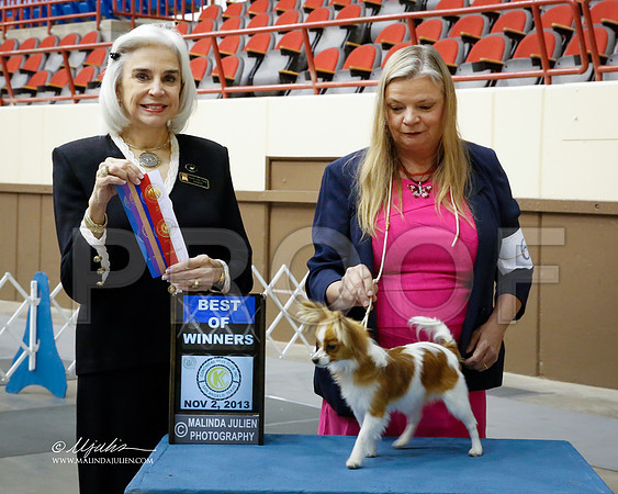 Pap-1213-SANov13-HR