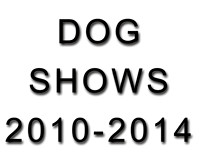 Dog Shows 2010-2014