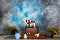 Cavalier King Charles Spaniel #9 #12  #14 #16 Fri Group of Puppies Shot