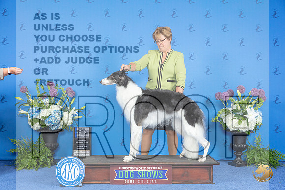 Borzoi #30 THUR WB BOW NC M Judge Dabbie Freeman__JP_8134_Houston_2024_HR3