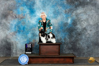 Havanese #6 Sat WB CH Judge Ann Bolus
