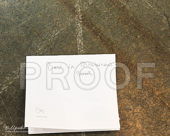 WPBob-4800 PROOF