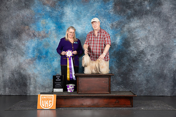 Lhasa Apso #144 Sun BIS Judge Terri Reins__JP_1594_UKCLNGVIEWOCT2024_2024_HR3