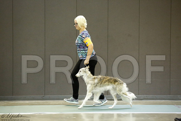 _J3L1031-BeltSep2014-HR