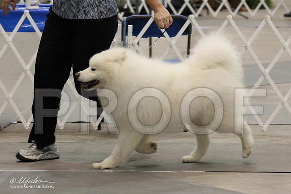 IMG_8908-Abilene2011-HR3