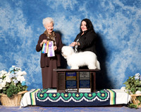Coton De Tulear #9 Fri BOB MERCER Melissa Judge Paula Hartinger