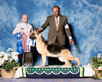 German Shepherd Dog #24 Fri S2 BOB Maj NCh NOGUERAS I, & S Schrock & A Mercado Judge Betty M Winthers