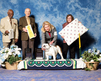 Bulldog #7 Fri G3 OHG4 SCOTT Linda, and Beverly Lamb Judge Eugene Blake Judge Roger Hartinger
