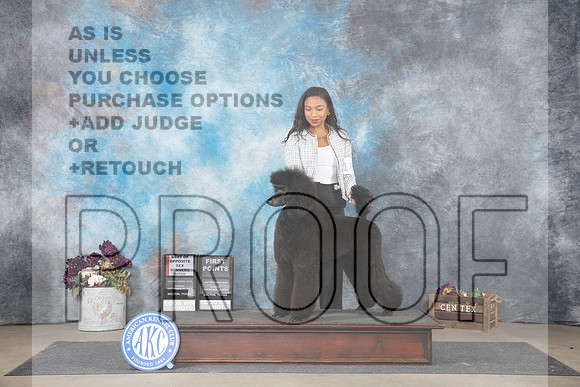 Poodle Standard #18 Sun WBBOS Judge Donelle Richards__JP_7889_Belton_2024_HR3