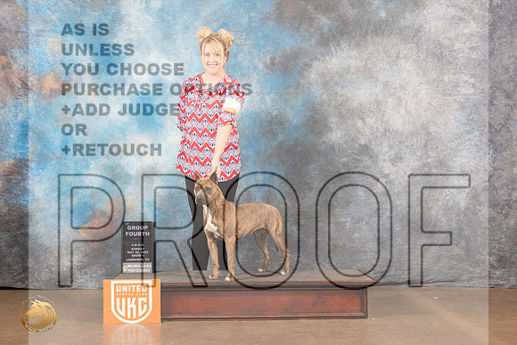 American Pit Bull Terrier #263 Sun1 G4 Judge Matthew ProctorMMJ_6065_Lngvw2022HR3