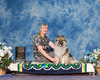 Keeshonden #91 Sat CDX NT Leg Preffed Open Sullivan Kim Judge Ms Hazel Olbrich