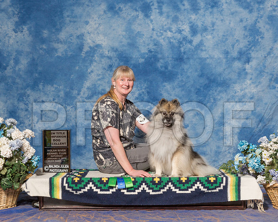 Keeshonden #91 Sat CDX NT Leg Preffed Open Sullivan Kim Judge Ms Hazel Olbrich-_ST_7794