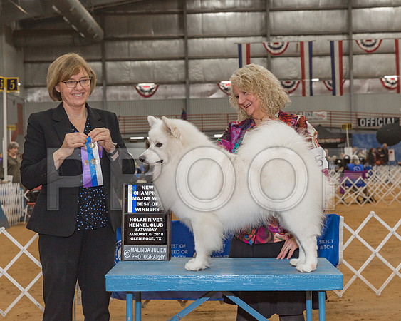American Eskimo Dog #5 Sat Maj BOW NC De La Paz Susan Judge Ms Grace M Fritz-_CL_7978