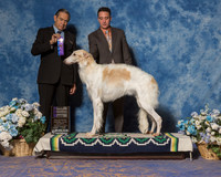 Borzois #24 Sat WD Durdin Jean W Judge Mr Alberto Barrios