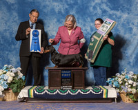 Smooth Dachshund #21 Sat G1 Ross Rondi L Jeffrey Ross Agent Kari Smith Judge Mr Alberto Berrios