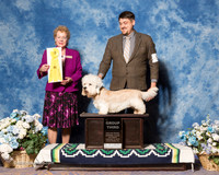 Dandie Dinmont #5 Sat G3 Spearks Dr Carmen H Caroline Chas Blair  Judge Mrs Tomas Gomez