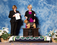 Norwich Terrier #11 Sat OHG4 NANCY A WILDEN Judge Grace M Fritz