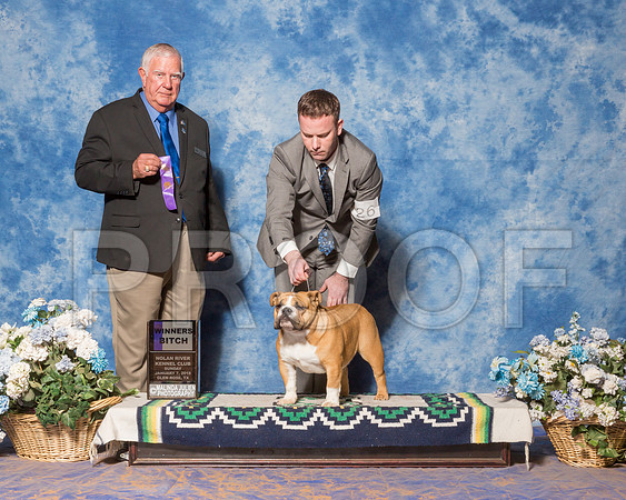 Bulldog #26 Sun WB Morales Paul Judge Mr Don Sutton-_ST_8059