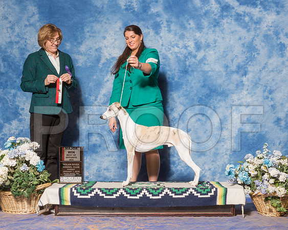 Whippet #19 Sun BOS Maj Winton Jeffrey Judge Ms Grace Fritz-_ST_8021