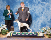 Whippet #6 Sun BOW WB Maj Tatro Harold Judge Ms Grace Fritz
