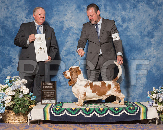 Basset Hound #5 Sun G4 Collier Kay Judge Mr Howard Yost-_ST_8259
