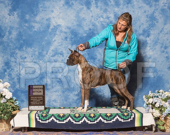 Boxer #6 Sat WB Brixey Kathryn Agent Tina Starr Judge Ms Susan Godek RESHOOT-_ST_8249