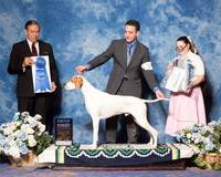 Pointer #5 Sun G1 MOS ING Jennifer, & BL & Diane O'Neil & Paige O'Neil Judge Alberto Berrios