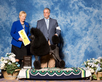 Poodle Std #21 Sun G3 Knight Dr Michael Mark DeWitt Judge Terry Berrios