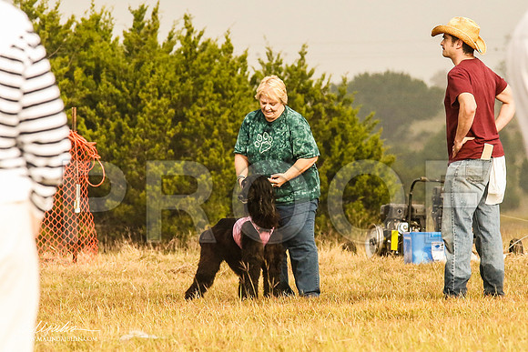 _MJ_3769-AfgBeltonOct2014-HR3