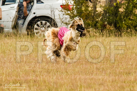 _MJ_5033-AfgBeltonOct2014-HR3