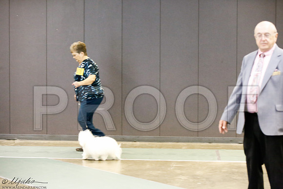 _J3L0683-BeltSep2014-HR