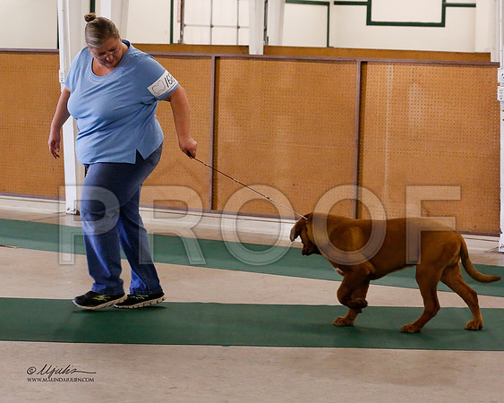 Dogue-8466-NormNov13-HR