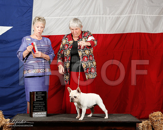 _ST_1714-2-AmarilloSep2014-HR3