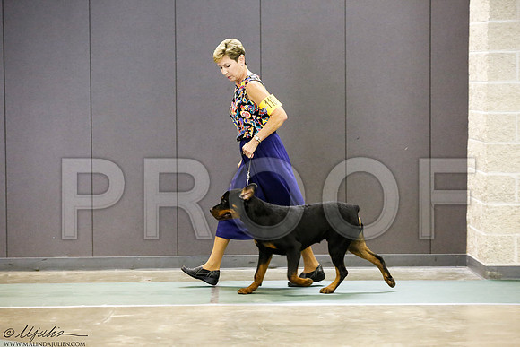 _J3L3189-BeltSep2014-HR