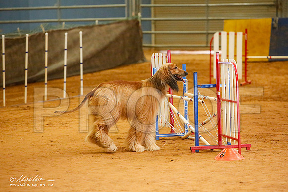 _JJ_5711-AfgBeltonOct2014-HR3