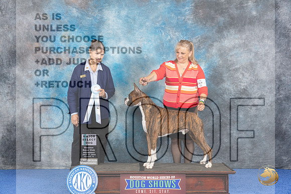 Boxer #9 WED SD Judge Cathy De La Garza__JP_6561_Houston_2024_HR3