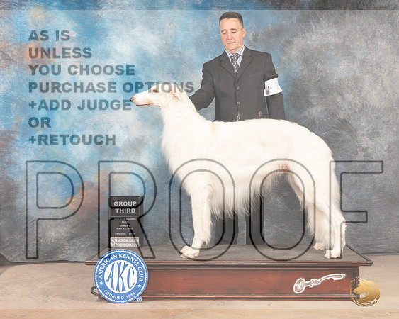 Borzoi #7 Sun G3 Judge Lori Nelson-MMJ_4911-Abilene2022-HR3