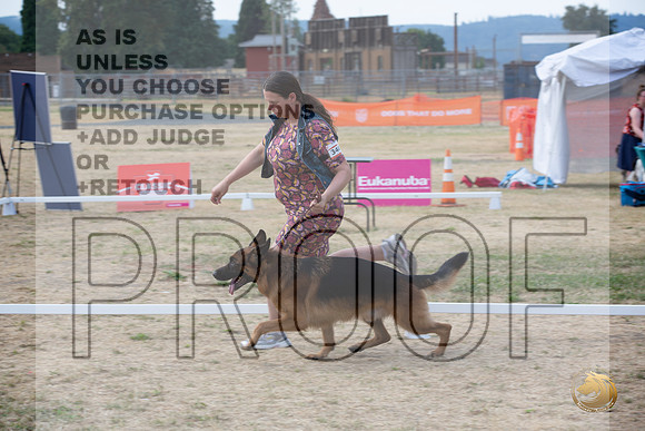 Ringside Longview WA 2024 German Shepherd Dog #340_JJL_3507_Longview WA_2024_HR3