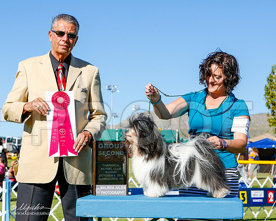 _ST_3307-2-AlamogordoOct2014-HR3