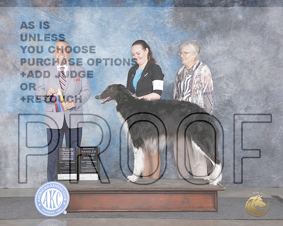 Borzoi #7 Fri WD BOW BOB OHBOB M NCH Judge Dana Cline__WP_5717e_Midland 2025_HR3