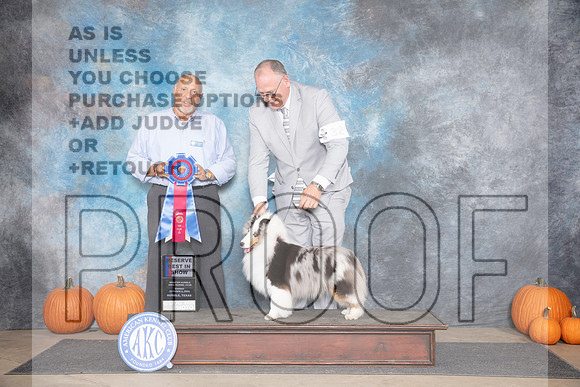 Shetland Sheepdog #32 RBIS Judge Hal Biermann__JP_9710_Humble_2024_HR3