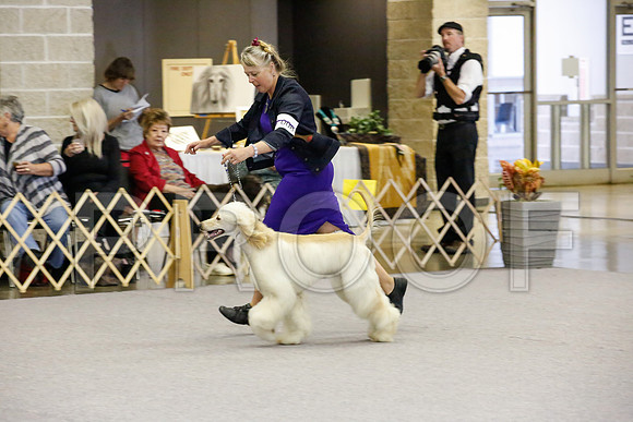_JJ_1595-AfgBeltonOct2014-HR3