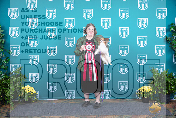 Papillon TD__JP_2896_UKCTDI2024_HR3