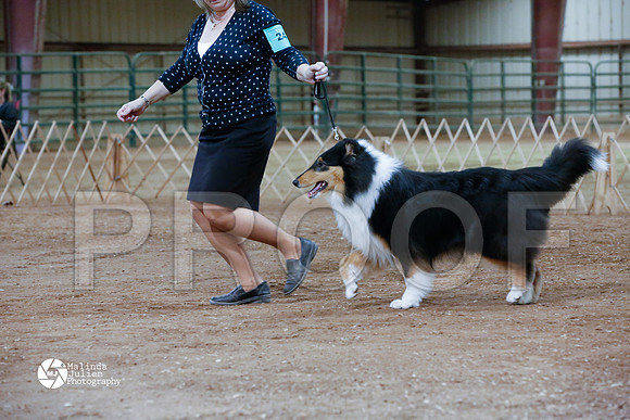 Col-4098-HR-GrgTwnFeb14-HR